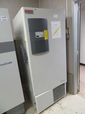 Thermo Scientific HFU320BV -80 Freezer