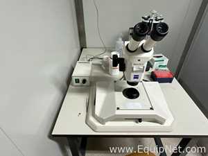 Carl Zeiss Stemi SV6 Stereo Microscope