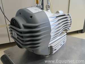 Edwards nXDS6i Atex Laboratory Vacuum Pump