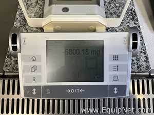 Mettler Toledo AX205 Delta Range Balance