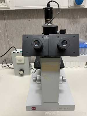 Microscópio Leitz Diavert
