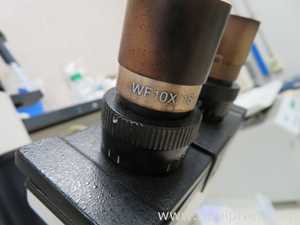 Leica DMIL Inverted Microscope