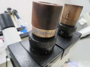 Leica DMIL Inverted Microscope