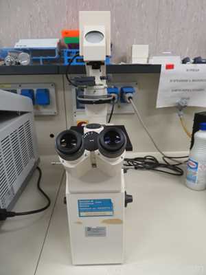 Zeiss Axiovert S100 Inverted Microscope