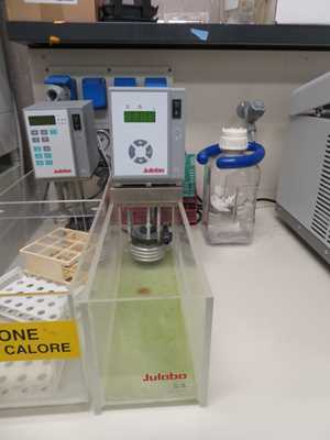 Lot of 2 Julabo MD and ED Waterbaths