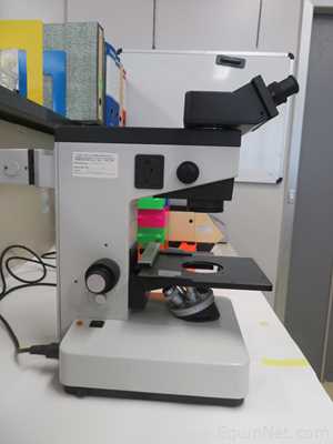 Microscópio Leitz Labovert