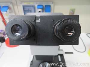 Microscópio Leitz Labovert