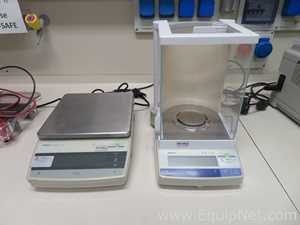 Lote de 2 Báscula Mettler Toledo AB304-S