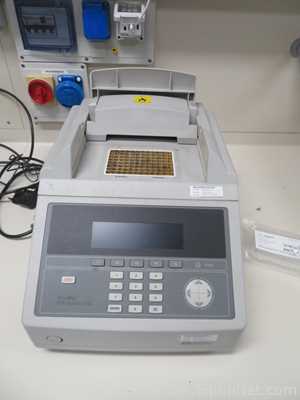 PCR y Termociclador Applied Biosystems Gene Amp 9700