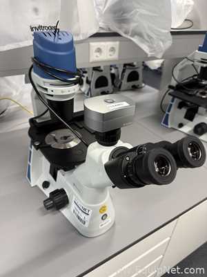 Microscopio Euromex Oxion Inverso