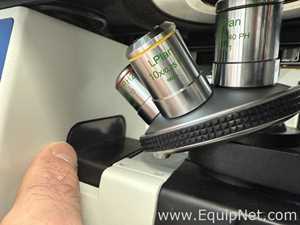 Microscopio Euromex Oxion Inverso