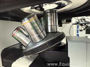 Microscopio Euromex Oxion Inverso