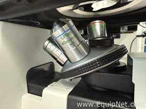 Microscopio Euromex Oxion Inverso