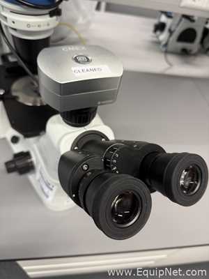 Microscopio Euromex Oxion Inverso