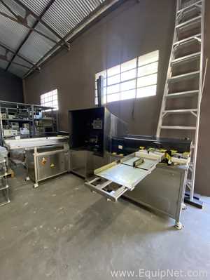 Máquina Semiautomática De Inspección De Viales Eisai Machinery VIS-1000