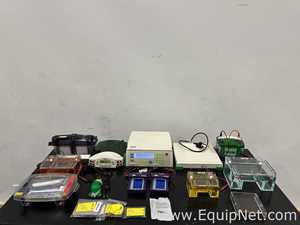 Lot of Electrophoresis Equipment