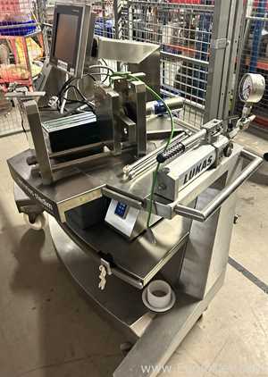 Sistema de ultrafiltración entarimado Sartorius Stedim FlexAct