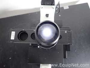 Leica DMIL LED Inverted Microscope with Extec High Intensity Fiber Optic Illuminator