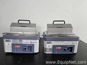 Lote de 2 Baño María / Circulador Fisher Scientific 205