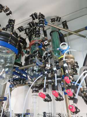 De Dietrich 30 Liter Jacketed Glass Reactor