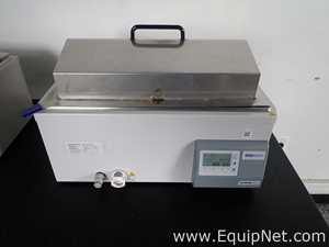 Lote de 2 Baño María / Circulador Fisher Scientific GPD 20