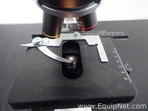 Microscópio Fisher Scientific 12561327