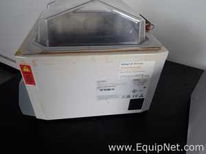 lote de  2 Banho Maria e Circulador Fisher Scientific FSGPD10
