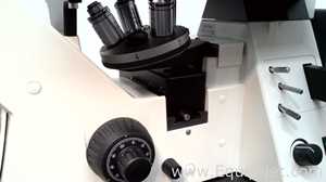 Microscópio Carl Zeiss Microimaging GmbH Axiovert 40 CFL