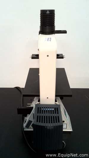Microscópio Carl Zeiss Microimaging GmbH Axiovert 40 CFL
