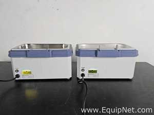 Lote de 2 Baño María / Circulador Fisher Scientific 205
