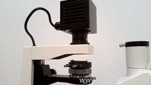 Microscópio VWR 82026-630