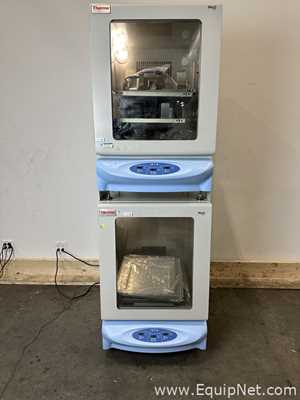lote de   Agitador Thermo Scientific 4353