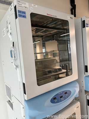 Lote de 2 Agitador Thermo Scientific MaxQ 6000