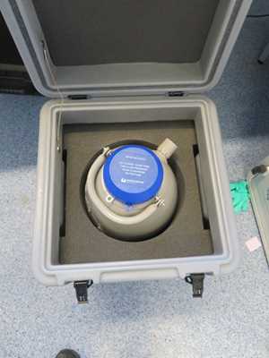 Worthington Industries CX100B-11M 4.1 Liters Liquid Nitrogen with Transport Case