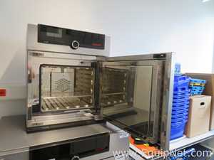 Memmert UF 30 Lab Oven