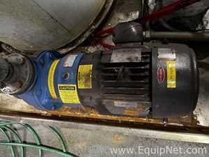 Bomba Centrífugas Goulds Pumps 3298