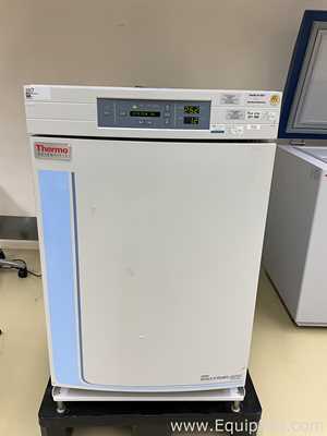 Incubadora Thermo Fisher Scientific 3121
