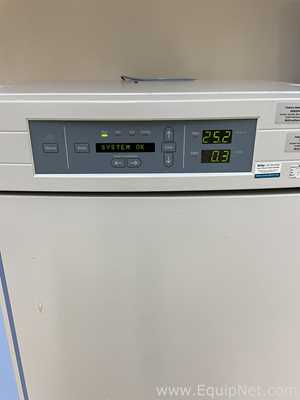 Incubadora Thermo Fisher Scientific 3121