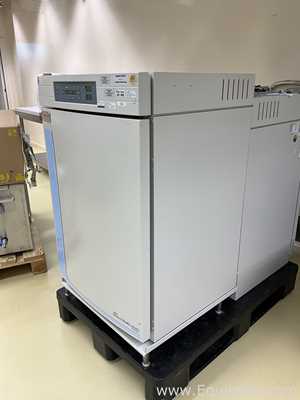 Incubadora Thermo Fisher Scientific 3121