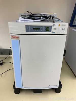 Incubadora Thermo Fisher Scientific 3121
