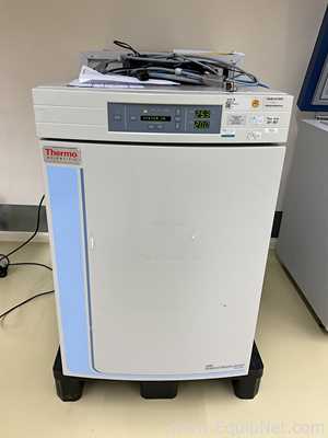 Incubadora Thermo Fisher Scientific 3121