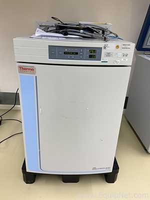 Incubadora Thermo Fisher Scientific 3121