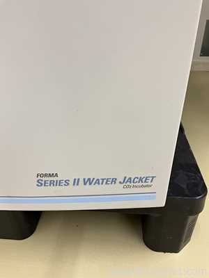 Incubadora Thermo Fisher Scientific 3121