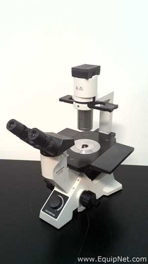 Olympus Optical CK40-F100 Inverted Microscope