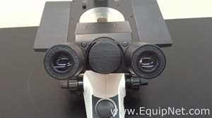 Olympus Optical CK40-F100 Inverted Microscope