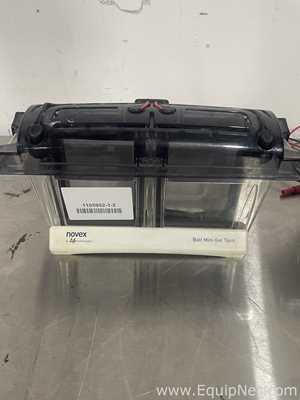 Lot of 2 Life Technologies MINI Gels Tanks