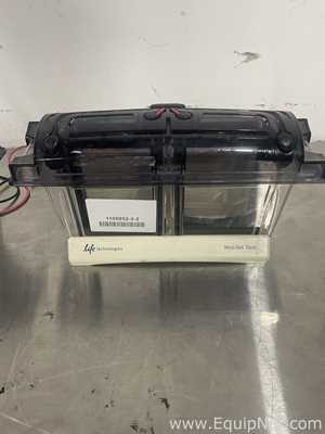 Lot of 2 Life Technologies MINI Gels Tanks