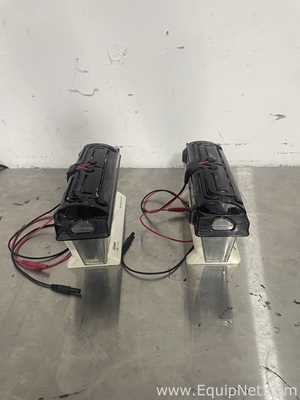 Lot of 2 Life Technologies MINI Gels Tanks