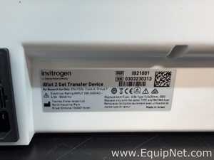 Sistema de Eletroforese Invitrogen iBlot2