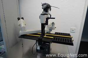Microscopio Leica Leitz 090-135.001